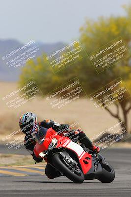 media/Apr-12-2025-Race Pace (Sat) [[9230add55f]]/Vested/6-Turn 4 Tree of Life (115pm)/